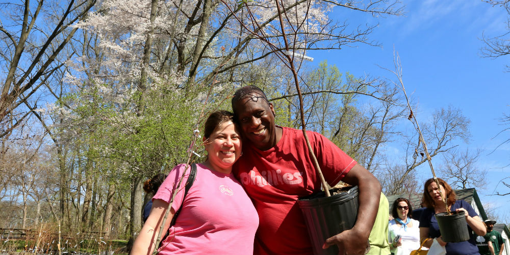 Pennypack Yard Tree Giveaway Spring 2015