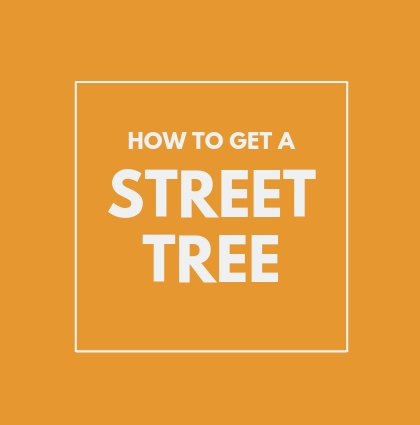 How to get a Street Tree