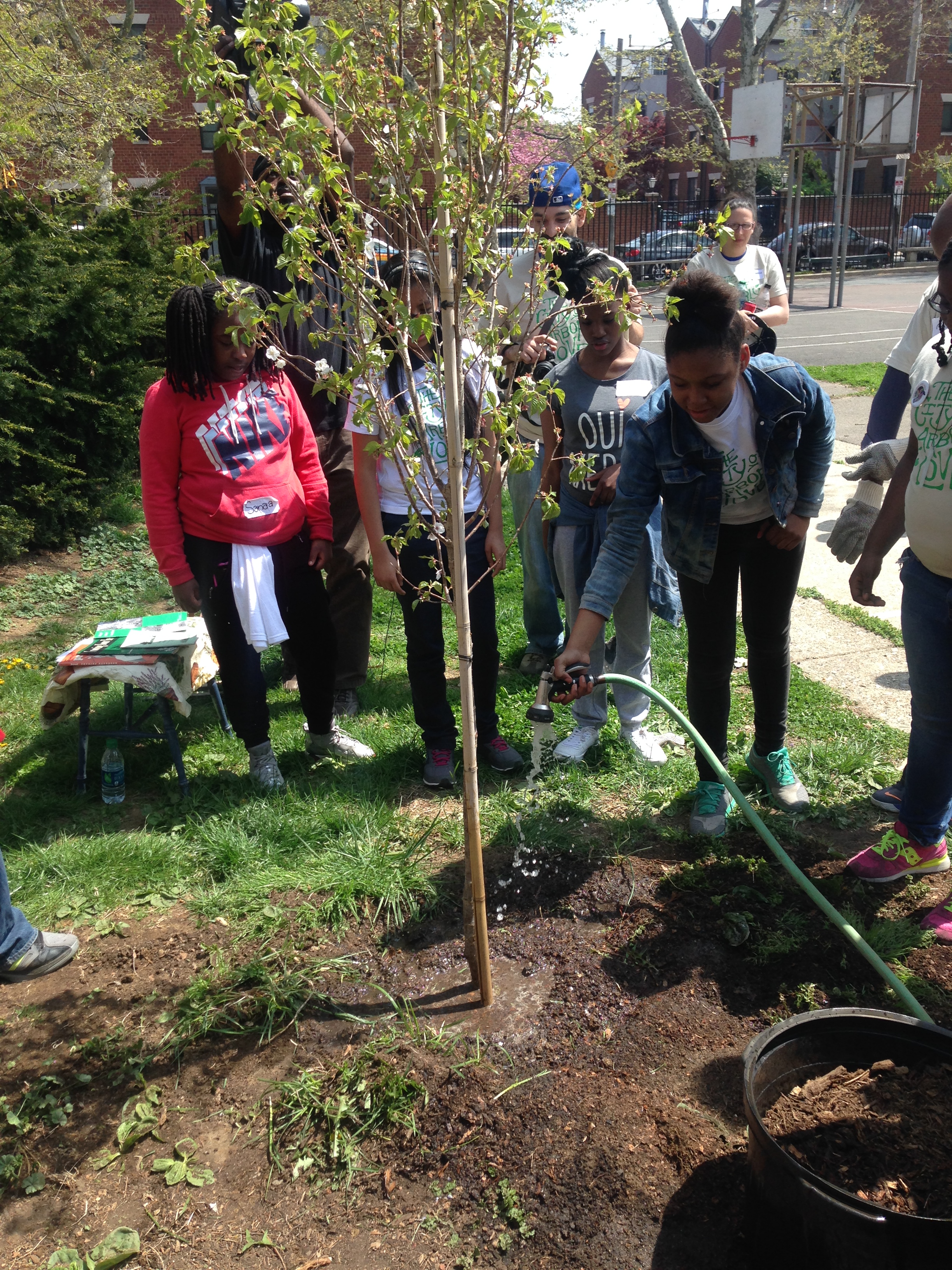 S14 Wells Fargo Arbor Day tree care and planting 9
