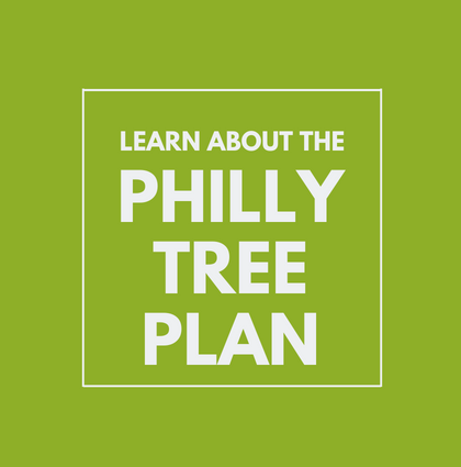 The Philly Tree Plan is here!