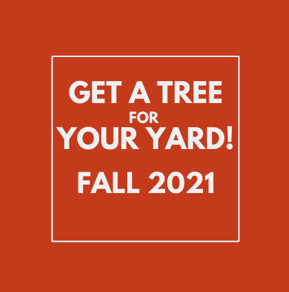 Fall 2021 – Yard Tree Giveaways