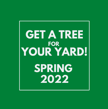 Spring 2022 Yard Tree Giveaways