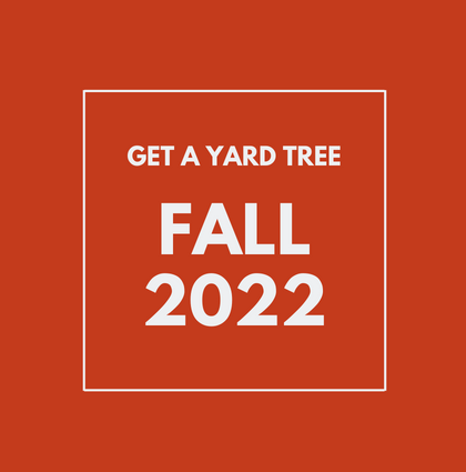 Fall 2022 Yard Tree Giveaways