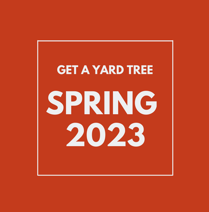 Spring 2023 Yard Tree Giveaways