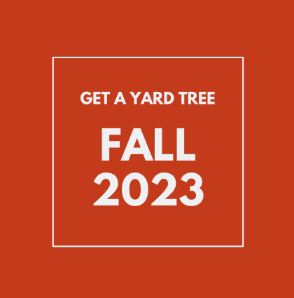 Fall 2023 Yard Tree Giveaways