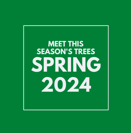 Meet the Spring 2024 trees!
