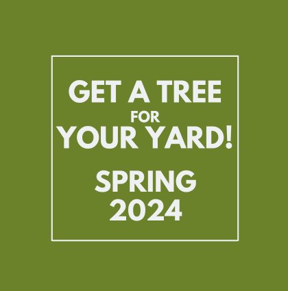 Spring 2024 Yard Tree Giveaways