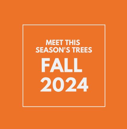 Meet the Fall 2024 trees!