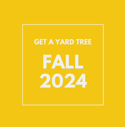 Fall 2024 Yard Tree Giveaways