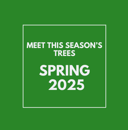 Meet the Spring 2025 trees!