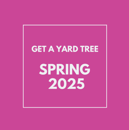 Spring 2025 Yard Tree Giveaways