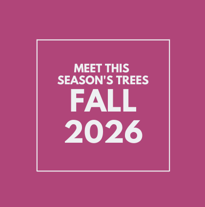 Meet the Fall 2026 trees!
